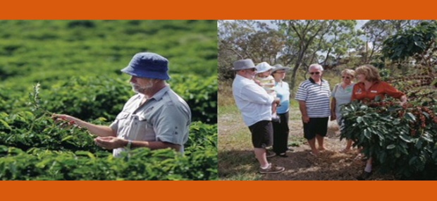 Skybury Australian Coffee Centre Mareeba Skybury Australian Coffee Centre Mareeba